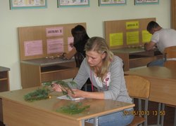 Лісове багатоборство 2013